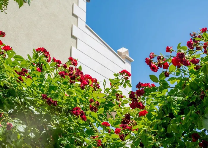 Apartment Andjelka-2 By Interhome Trogir